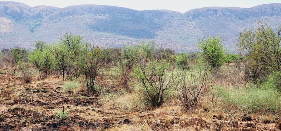  Bedroom Property for Sale in Rietfontein A H North West